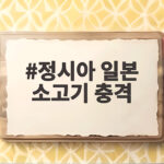 정시아 일본 소고기 충격 220g에 88만원 가격 실화 정시아 일본 소고기 충격