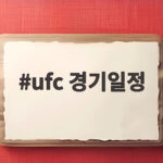 UFC 경기일정 2026년 8월 이후 빅매치와 중계 채널 확인 ufc 경기일정
