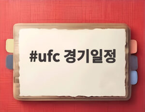 ufc 경기일정