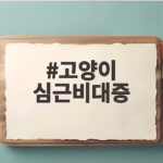 고양이 심근비대증 조기 발견을 위해 알아야 할 심장초음파와 호흡수 고양이 심근비대증