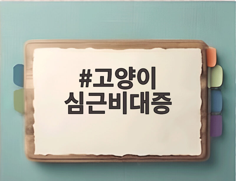 고양이 심근비대증 조기 발견을 위해 알아야 할 심장초음파와 호흡수 1 고양이 심근비대증