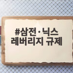 삼전·닉스 레버리지 규제
