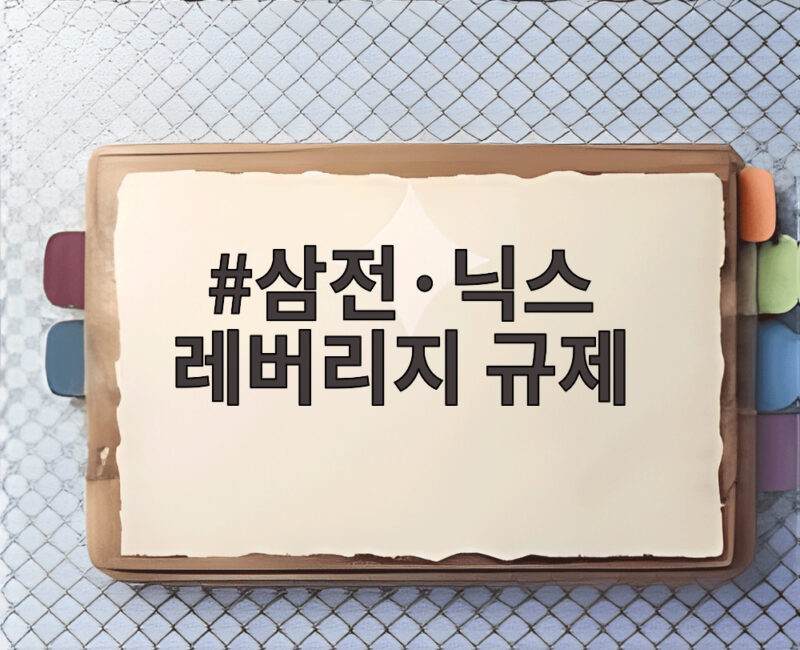 삼전·닉스 레버리지 규제