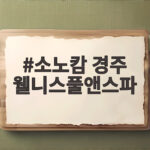 소노캄 경주 웰니스풀앤스파