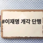 이재명 개각 단행 6개 부처 장관 교체와 청와대 참모진 인선 내용 이재명 개각 단행