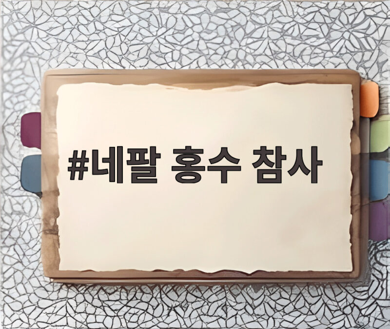 네팔 홍수 참사 사망 750명 실종 3000명 넘어 우리가 알아야 할 것 1 네팔 홍수 참사