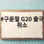 구윤철 G20 출국 취소 공항서 돌아선 이유와 이후 일정 구윤철 G20 출국 취소
