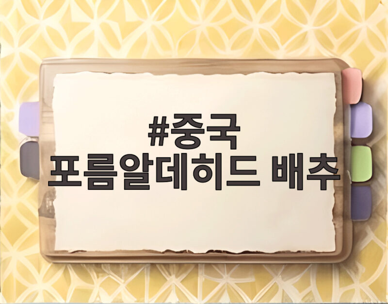 중국 포름알데히드 배추