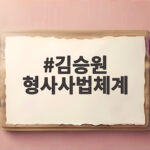 김승원 형사사법체계