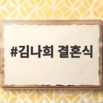 김나희 결혼식에 양상국 임우일 영탁 이찬원 송가인까지 다 모였다 김나희 결혼식