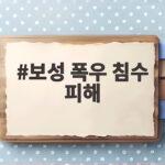 보성 폭우 침수 피해 시간당 100mm 집중호우 대비 행동 요령 보성 폭우 침수 피해