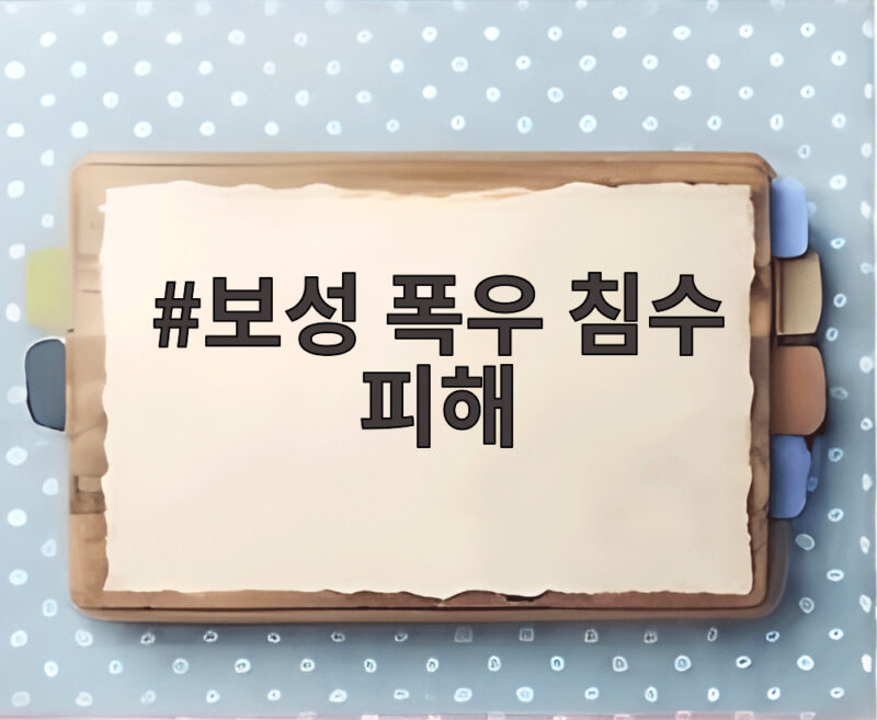 보성 폭우 침수 피해