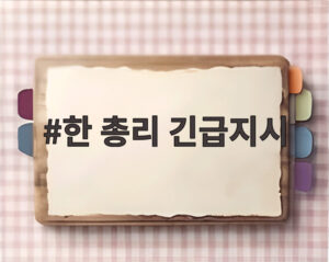 한 총리 긴급지시