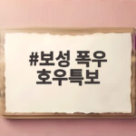 보성 폭우 호우특보로 전남광주 시간당 100mm 폭우 피해 속출 우리 동네는 안전할까 보성 폭우 호우특보