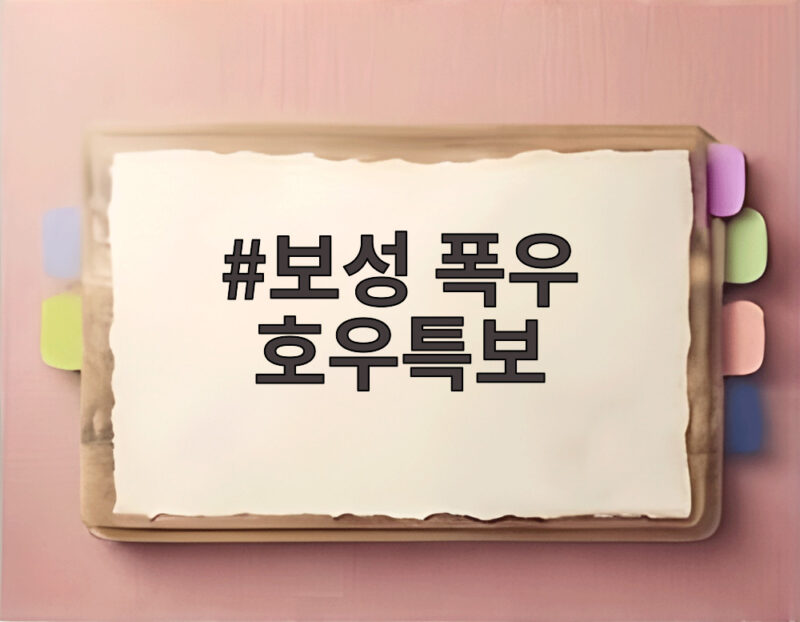 보성 폭우 호우특보로 전남광주 시간당 100mm 폭우 피해 속출 우리 동네는 안전할까 1 보성 폭우 호우특보