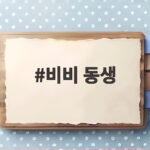 비비 동생