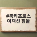북키프로스 여객선 침몰 사고로 확인한 해상 안전 수칙과 구조 과정 북키프로스 여객선 침몰