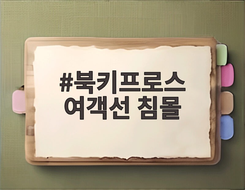 북키프로스 여객선 침몰 사고로 확인한 해상 안전 수칙과 구조 과정 1 북키프로스 여객선 침몰