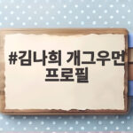 김나희 개그우먼 프로필 트로트 가수로 다시 주목받는 이유 김나희 개그우먼 프로필