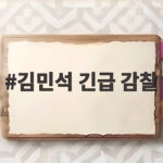 김민석 긴급 감찰 전당대회 여론조사 조작 의혹 유튜버 징계 김민석 긴급 감찰