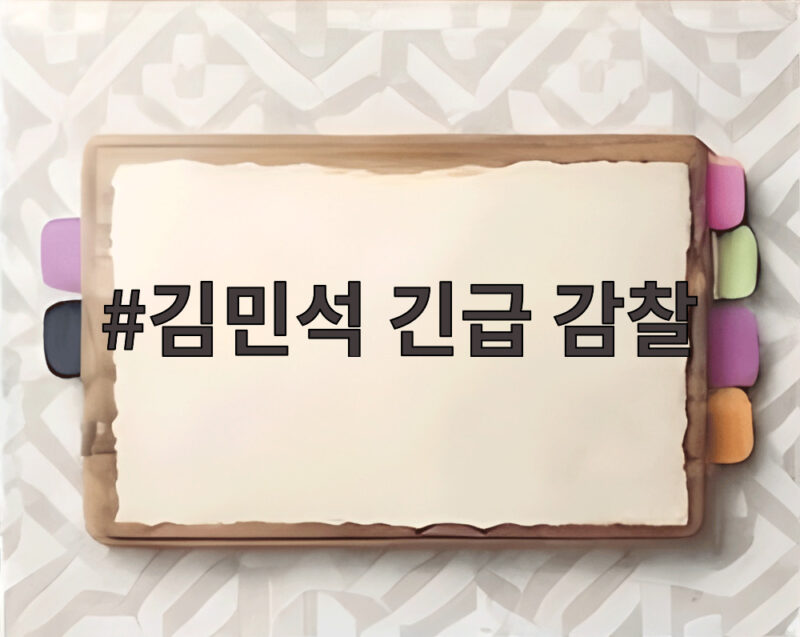 김민석 긴급 감찰 전당대회 여론조사 조작 의혹 유튜버 징계 1 김민석 긴급 감찰