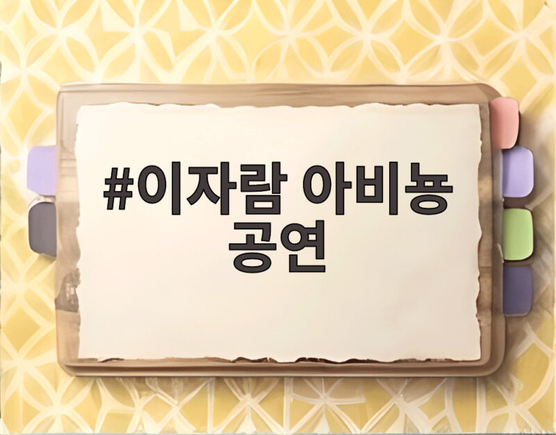 이자람 아비뇽 공연 프랑스인을 사로잡은 판소리 눈눈눈 한국에서 다시 1 이자람 아비뇽 공연