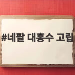 네팔 대홍수 고립 사태 닷새째 사망자 800명 넘어 구조와 수색 상황 네팔 대홍수 고립