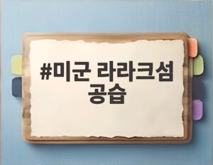 미군 라라크섬 공습