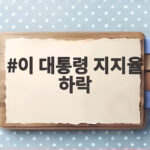 이 대통령 지지율 하락