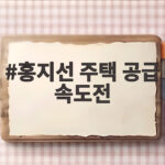 홍지선 주택 공급 속도전