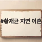 황재균 지연 이혼 2년 후 두 사람이 선택한 변화는 무엇일까 황재균 지연 이혼