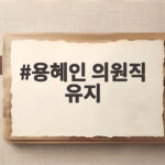 용혜인 의원직 유지