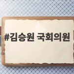 김승원 국회의원 법무부 장관 후보 지명 논란 핵심 정리 김승원 국회의원