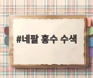 네팔 홍수 수색