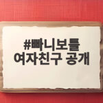 빠니보틀 여자친구 공개 세계 최대 크루즈 신혼여행 화제 빠니보틀 여자친구 공개