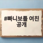빠니보틀 여친 공개