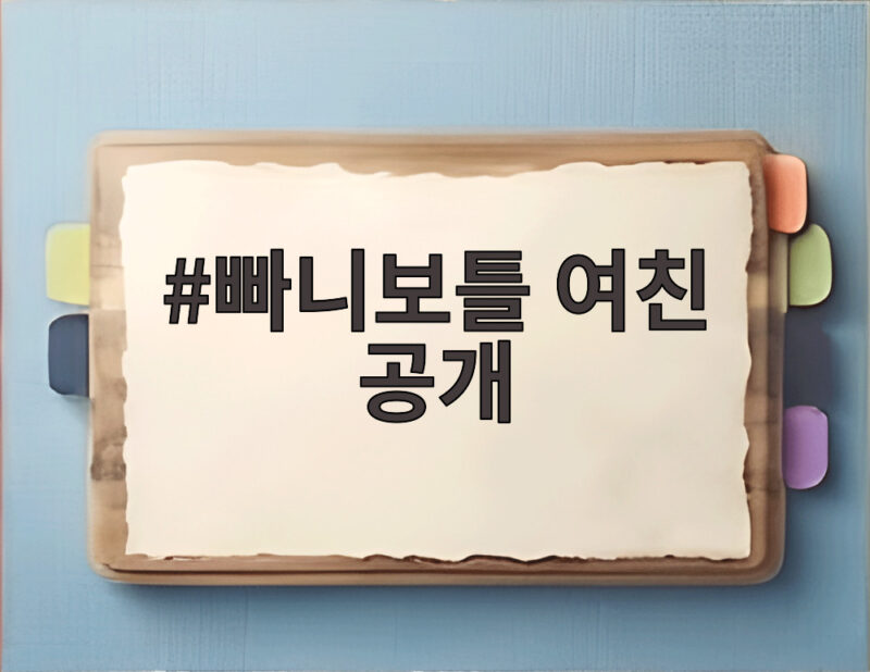 빠니보틀 여친 공개 신혼여행 영상 보니 결혼은 언제일까 궁금증 1 빠니보틀 여친 공개