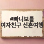 빠니보틀 여자친구 신혼여행 세계 최대 크루즈에서 공개한 메로나 빠니보틀 여자친구 신혼여행