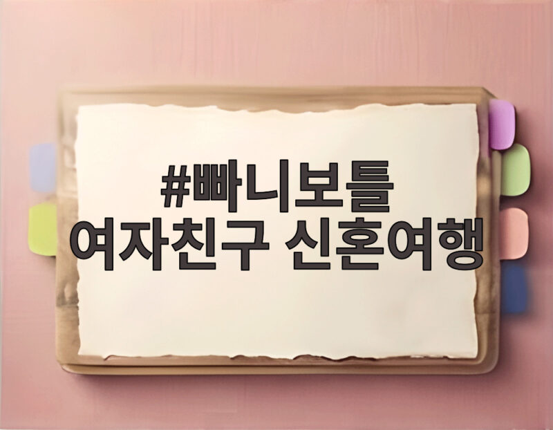 빠니보틀 여자친구 신혼여행