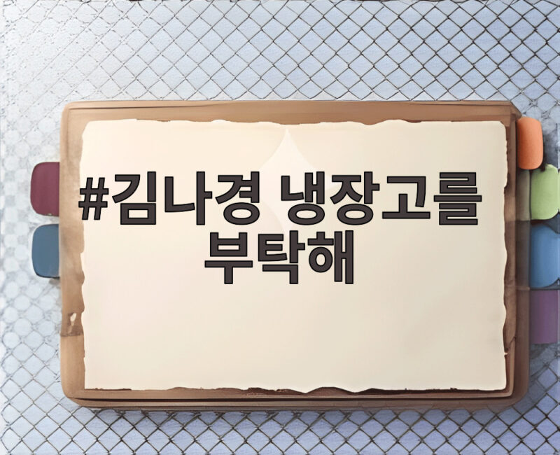 김나경 냉장고를 부탁해 비비와 함께한 매운맛 자매 케미 대공개 1 김나경 냉장고를 부탁해