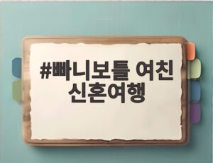 빠니보틀 여친 신혼여행