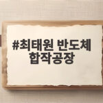 최태원 반도체 합작공장