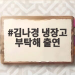 김나경 냉장고 부탁해 출연 비비와 매운맛 자매 케미가 대단하다 김나경 냉장고 부탁해 출연