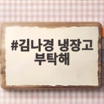 김나경 냉장고 부탁해, 매운맛 자매 비비와 함께한 뜨거운 현장 김나경 냉장고 부탁해
