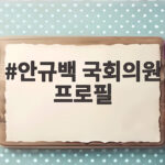 안규백 국회의원 프로필 이력과 국방장관 활동 자세히 살펴보기 안규백 국회의원 프로필