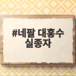 네팔 대홍수 실종자 4793명 넘어 추가 비 예보 속 구조 상황은 네팔 대홍수 실종자