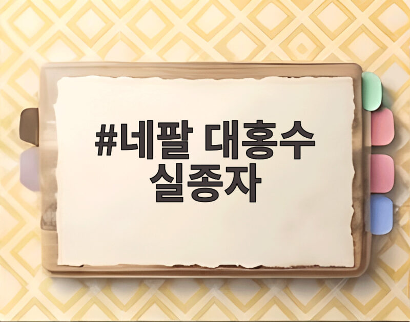 네팔 대홍수 실종자 4793명 넘어 추가 비 예보 속 구조 상황은 1 네팔 대홍수 실종자