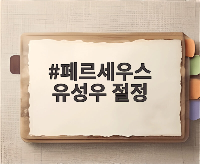 페르세우스 유성우 절정