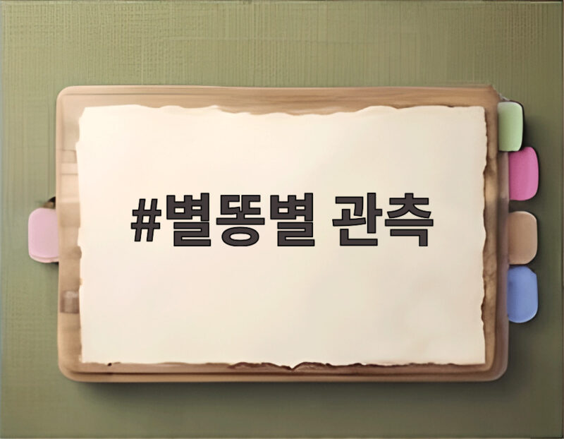 오늘 밤 별똥별 관측 방법과 시간 정리 1 별똥별 관측