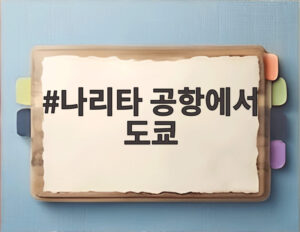 나리타 공항에서 도쿄